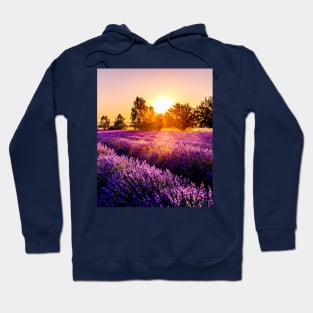 Purple Lavender Hoodie